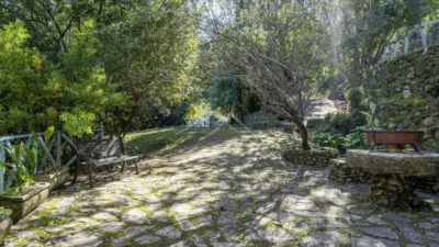 Rustic Finca in Sendero Majaceite photo 15