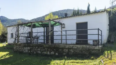 Rustic Finca in Sendero Majaceite photo 35