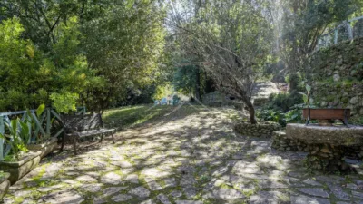 Rustic Finca in Sendero Majaceite photo 39