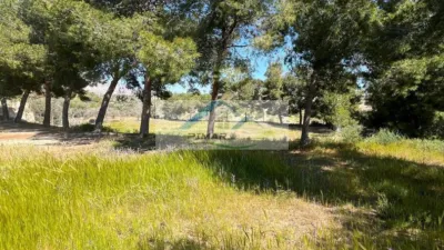 House in Cachapet photo 9
