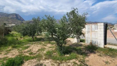 House in Olula del Río photo 36