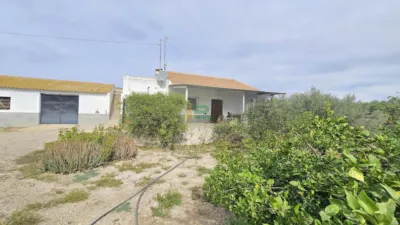 House on Calle Cerca del Centro photo 19