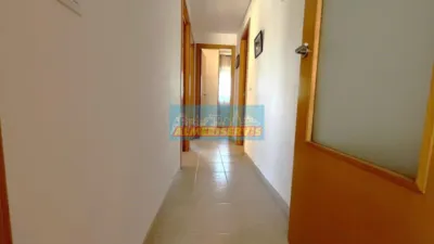 Apartment on Calle Almadraba photo 17