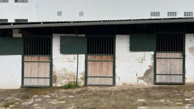 Rustic Finca in Sierra El Gastor, Grazalema photo 14