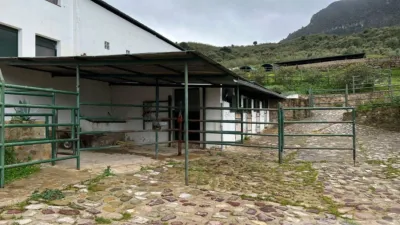 Rustic Finca in Sierra El Gastor, Grazalema photo 18