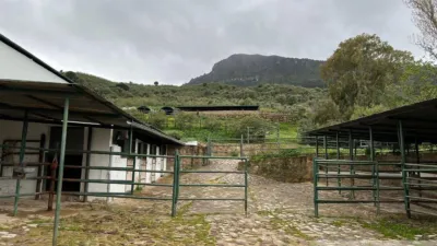Rustic Finca in Sierra El Gastor, Grazalema photo 19