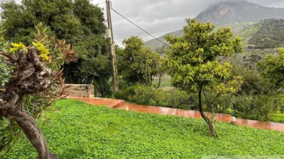 Rustic Finca in Sierra El Gastor, Grazalema photo 2