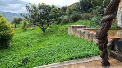 Rustic Finca in Sierra El Gastor, Grazalema photo 4