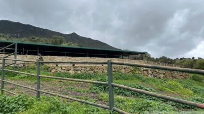 Rustic Finca in Sierra El Gastor, Grazalema photo 6