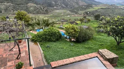 Rustic Finca in Sierra El Gastor, Grazalema photo 7