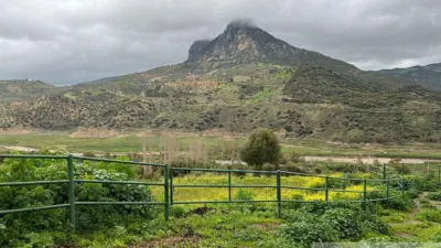 Rustic Finca in Sierra El Gastor, Grazalema photo 8