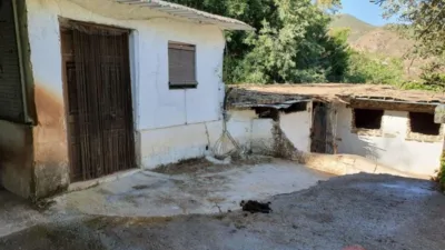 Rustic House in Puerto Juvelei photo 22