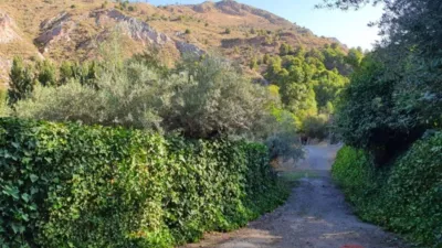 Rustic House in Puerto Juvelei photo 33