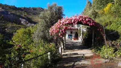 Rustic House in Puerto Juvelei photo 35