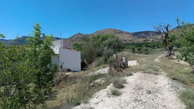 Rustic house in Oria photo 17