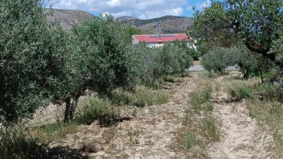 Rustic house in Oria photo 5