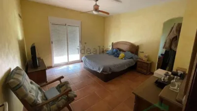 Chalet in Carril de Molinos photo 7
