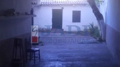 Miniatura 11