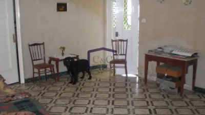 Miniatura 12