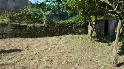 House in the Centre photo 4