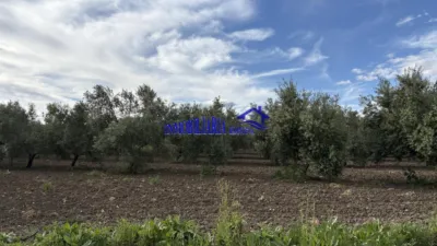 Rustic farm in Carpio photo 4