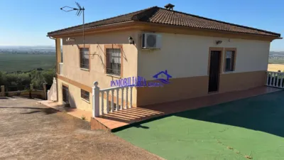 Chalet in Cuevas Bajas photo 3