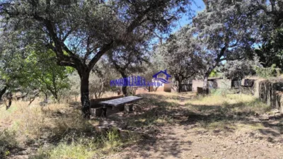 Chalet in Cerro Muriano photo 22