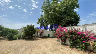 Rustic farm in Almodovar photo 8