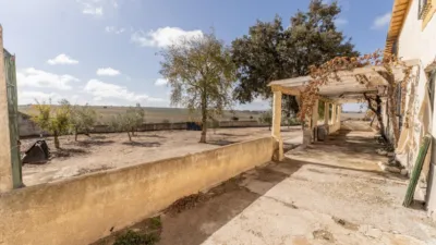 Rustic farm on Campo Street, No. S/N photo 28