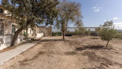 Rustic farm on Campo Street, No. S/N photo 30