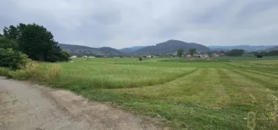Rustic farm in Calle Trujeda photo 10