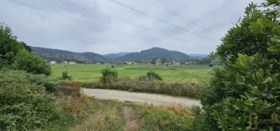 Rustic farm in Calle Trujeda photo 11