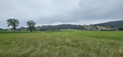 Rustic farm in Calle Trujeda photo 8