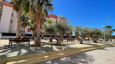 Apartment in Lomas de Cabo Roig photo 27