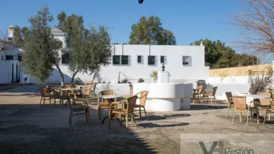 Rustic farm on Carretera Bornos-Villamartin photo 21