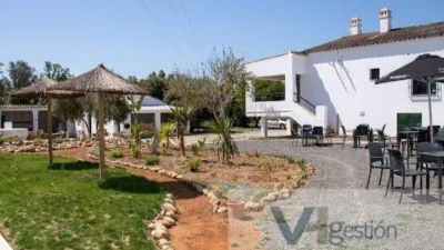 Rustic farm on Carretera Bornos-Villamartin photo 5
