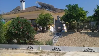 House for Sale in El Pavo photo 23