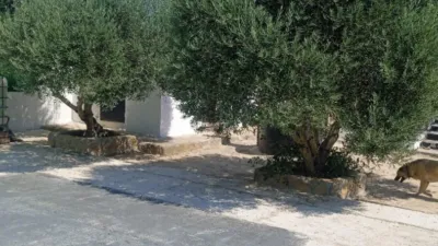 House for Sale in El Pavo photo 24
