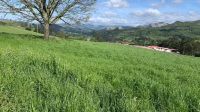 Rustic finca on Cotornedo Street photo 11