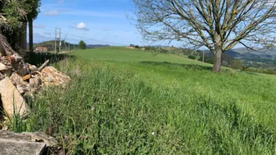 Rustic finca on Cotornedo Street photo 9