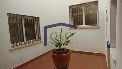 Miniatura 12