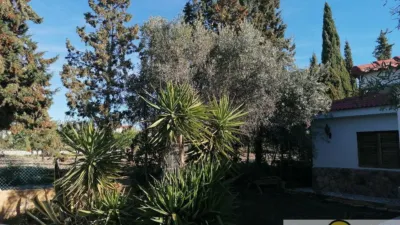 Rustic house in Locaiba photo 33