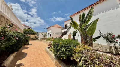 Studio at Avenida Santiago Puig, 1 photo 21