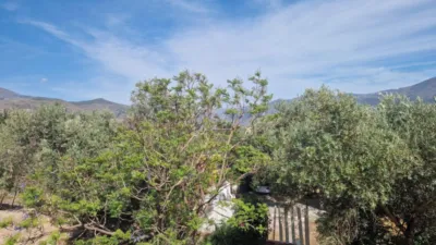 Rustic property in Alpujarra photo 30