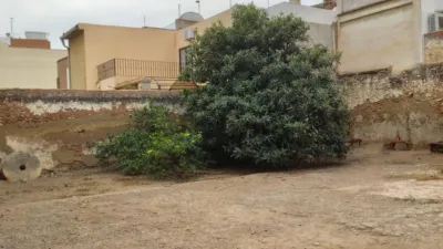 House on Avinguda Major photo 23