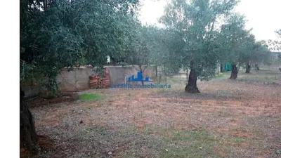 Chalet in Godelleta-Urb Guarrat photo 25