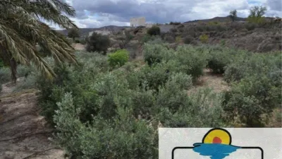 Casa rústica en La Hoya photo 13