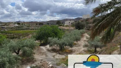 Rustic house in La Hoya photo 4