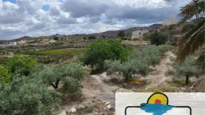 Rustic house in La Hoya photo 5
