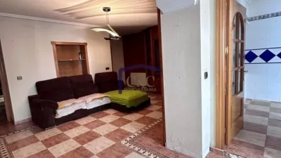 Miniatura 12
